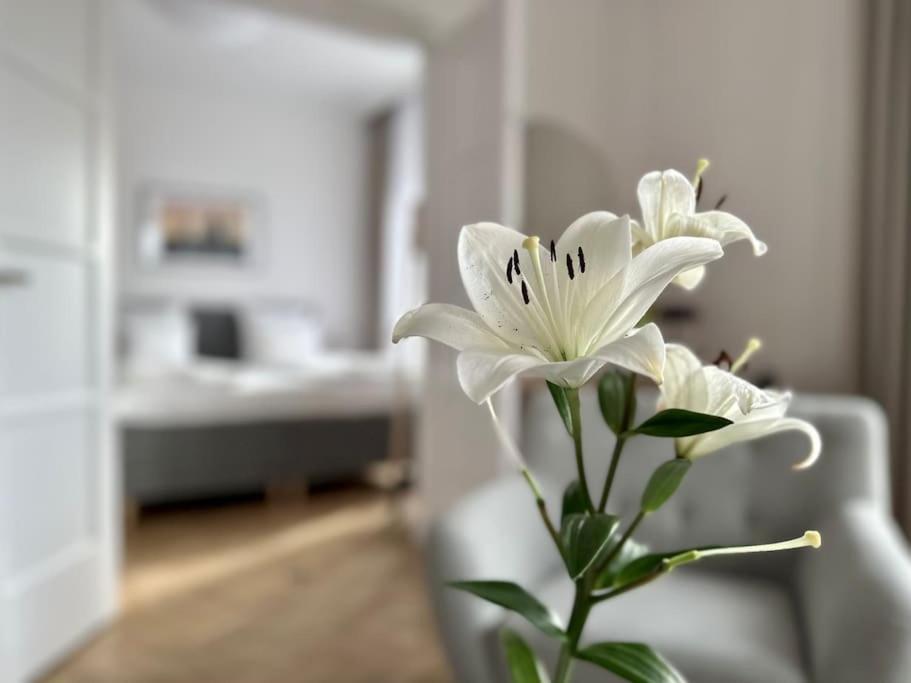 Premium Apartment By Hi - Central 2 Bedroom - Best View Budapešť Exteriér fotografie
